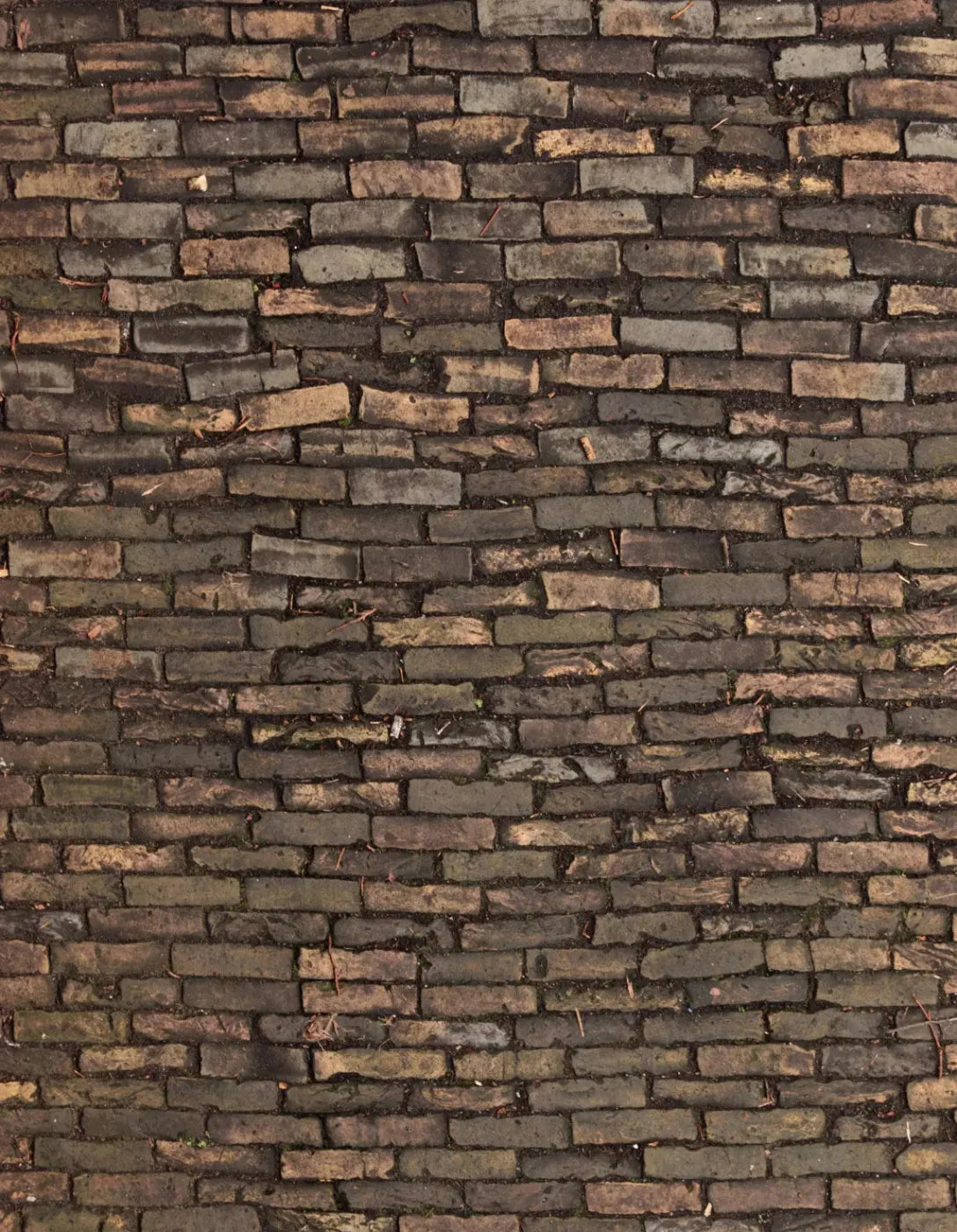 Facade 6X8 Fleece ( 72 X 96 Inch ) Backdrop