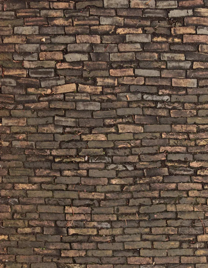 Facade 6X8 Fleece ( 72 X 96 Inch ) Backdrop