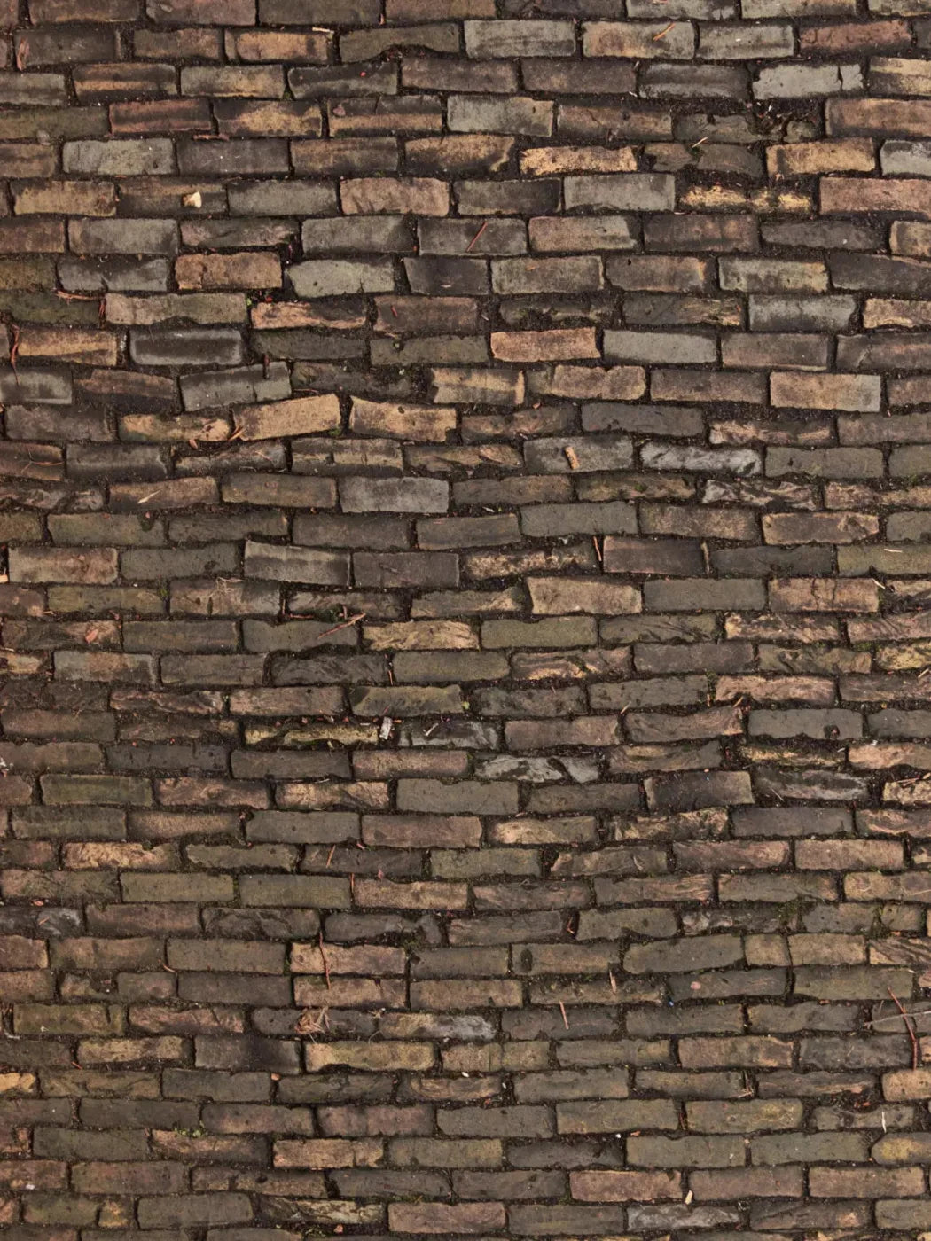 Facade 8X10 Fleece ( 96 X 120 Inch ) Backdrop