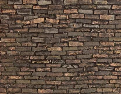 Facade 8X6 Fleece ( 96 X 72 Inch ) Backdrop