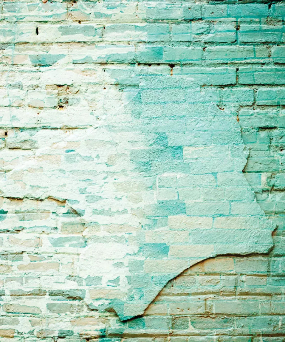  Brick and Stone Backdrop for Photography