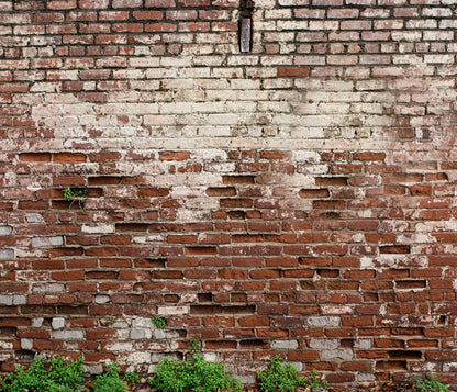 Brickwork 12X10 Ultracloth ( 144 X 120 Inch ) Backdrop