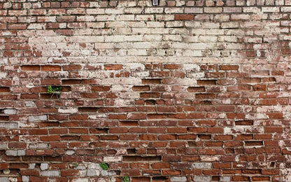 Brickwork 14X9 Ultracloth ( 168 X 108 Inch ) Backdrop