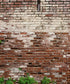 Brown Brick and Stone Backdrop for Photography