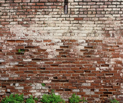 Brickwork 5X42 Fleece ( 60 X 50 Inch ) Backdrop