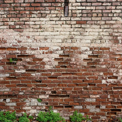 Brickwork 8X8 Fleece ( 96 X Inch ) Backdrop