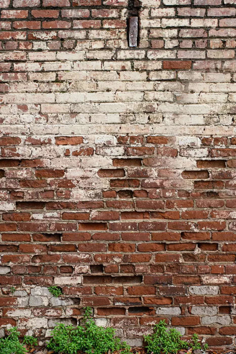 Brickwork Backdrop