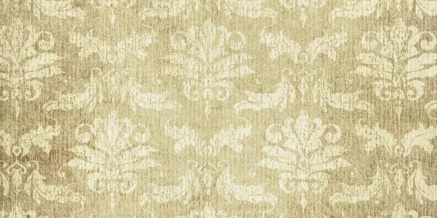 Fairchild 20X10 Ultracloth ( 240 X 120 Inch ) Backdrop