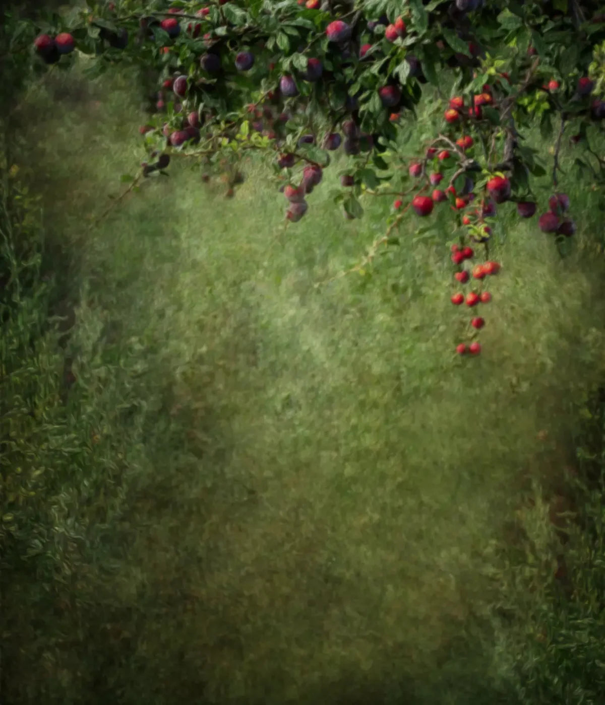 Fall Abundance 10’X12’ Ultracloth (120 X 144 Inch) Backdrop