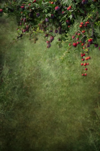 Fall Abundance Backdrop