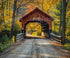 Multi Colored Fall Backdrop for Photography