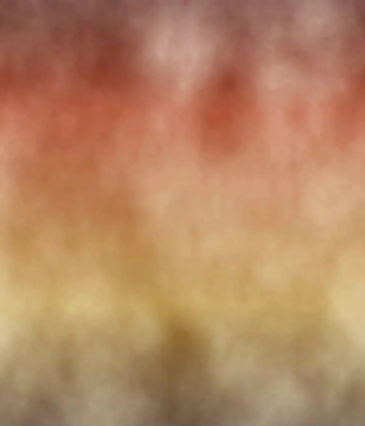 Fall Dream 10X12 Ultracloth ( 120 X 144 Inch ) Backdrop