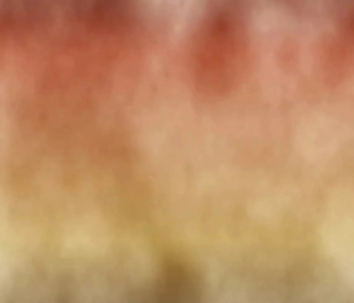 Fall Dream 12X10 Ultracloth ( 144 X 120 Inch ) Backdrop