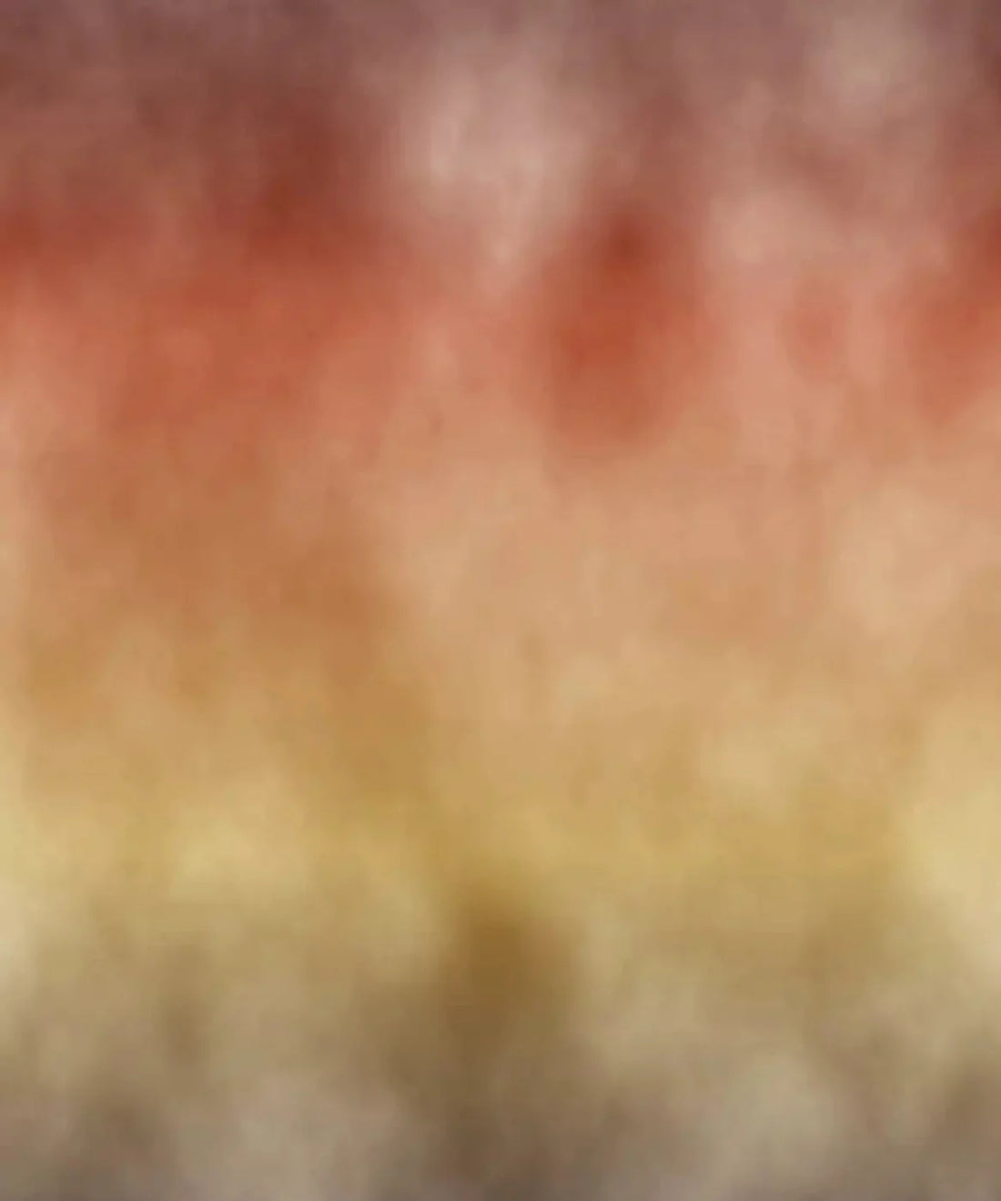 Beige Autumn Backdrop for Photography