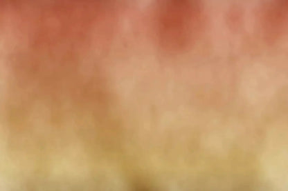 Fall Dream 8X5 Ultracloth ( 96 X 60 Inch ) Backdrop