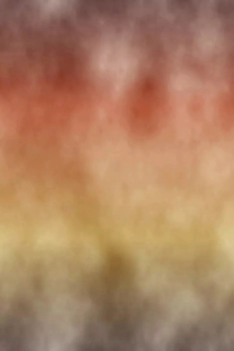 Fall Dream Backdrop