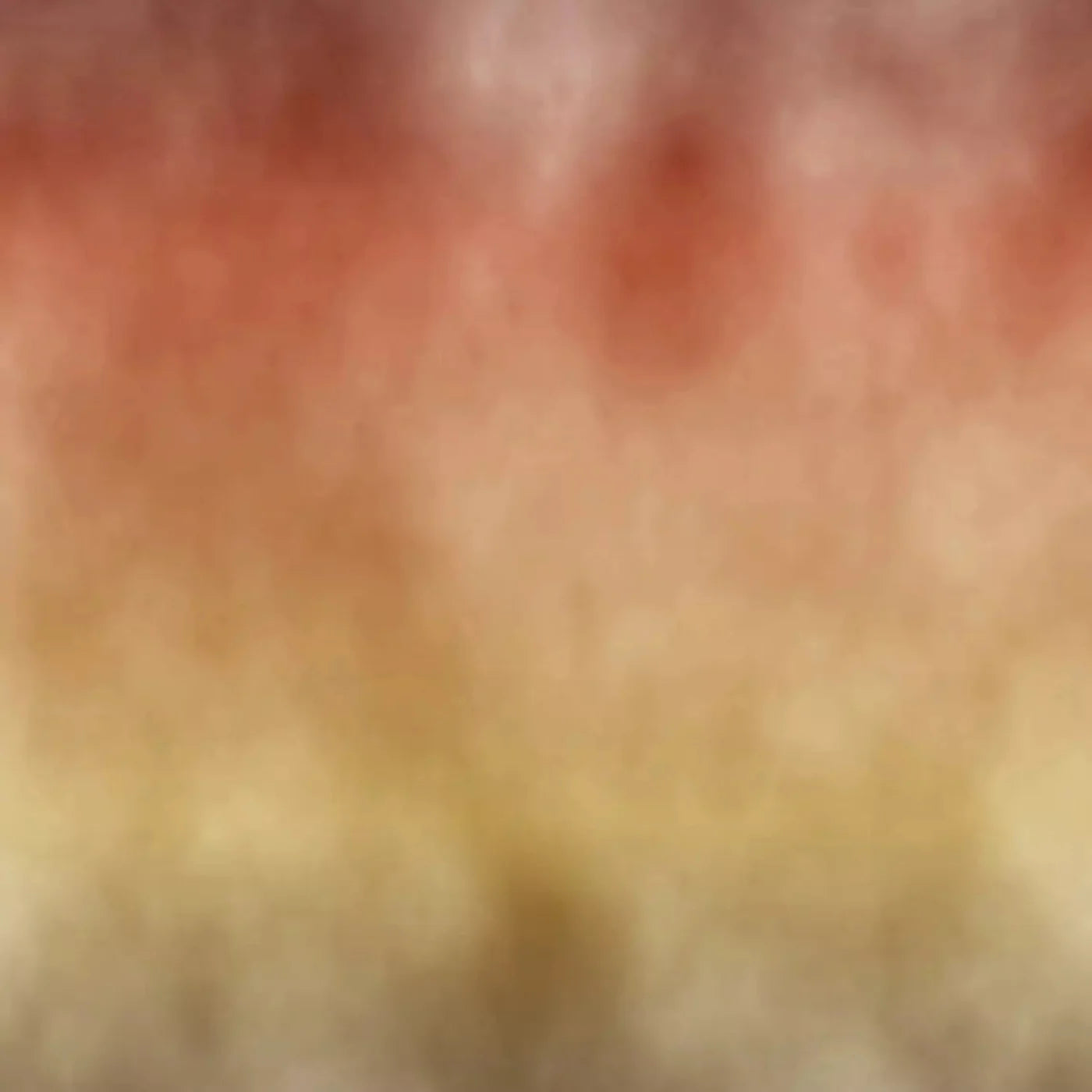 Fall Dream Backdrop