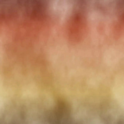 Fall Dream Backdrop