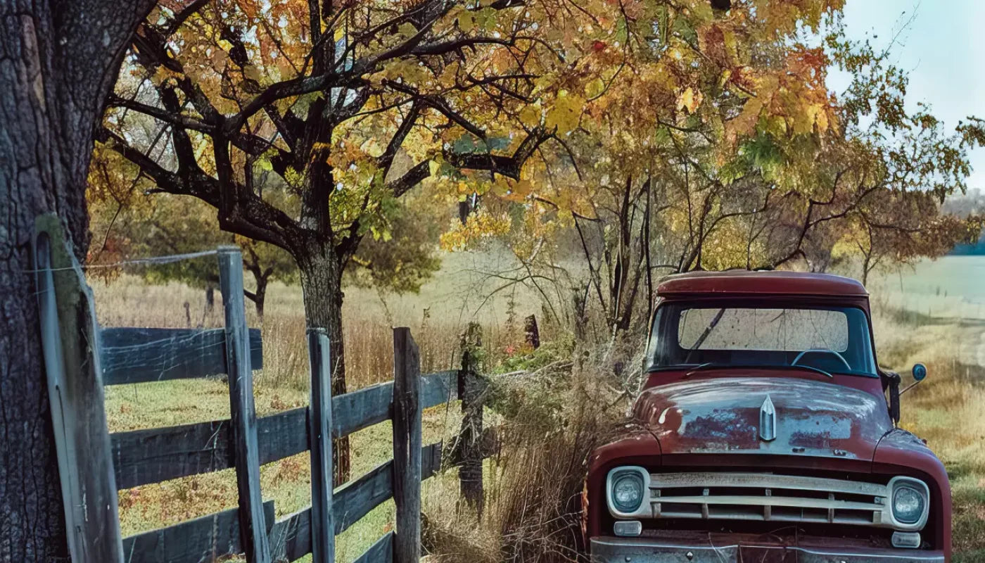 Fall Foilage 003 8X10 Web 14’X8’ Ultracloth (168 X 96 Inch) Backdrop