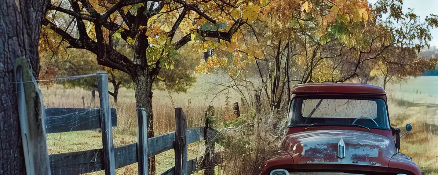Fall Foilage 003 8X10 Web 20’X8’ Ultracloth (240 X 96 Inch) Backdrop