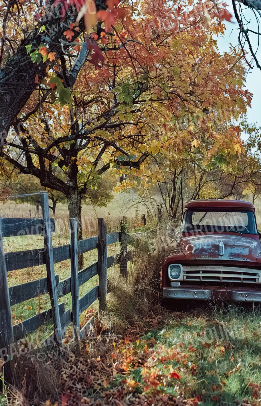 Fall Foilage 003 8X10 Web 9’X14’ Ultracloth (108 X 168 Inch) Backdrop