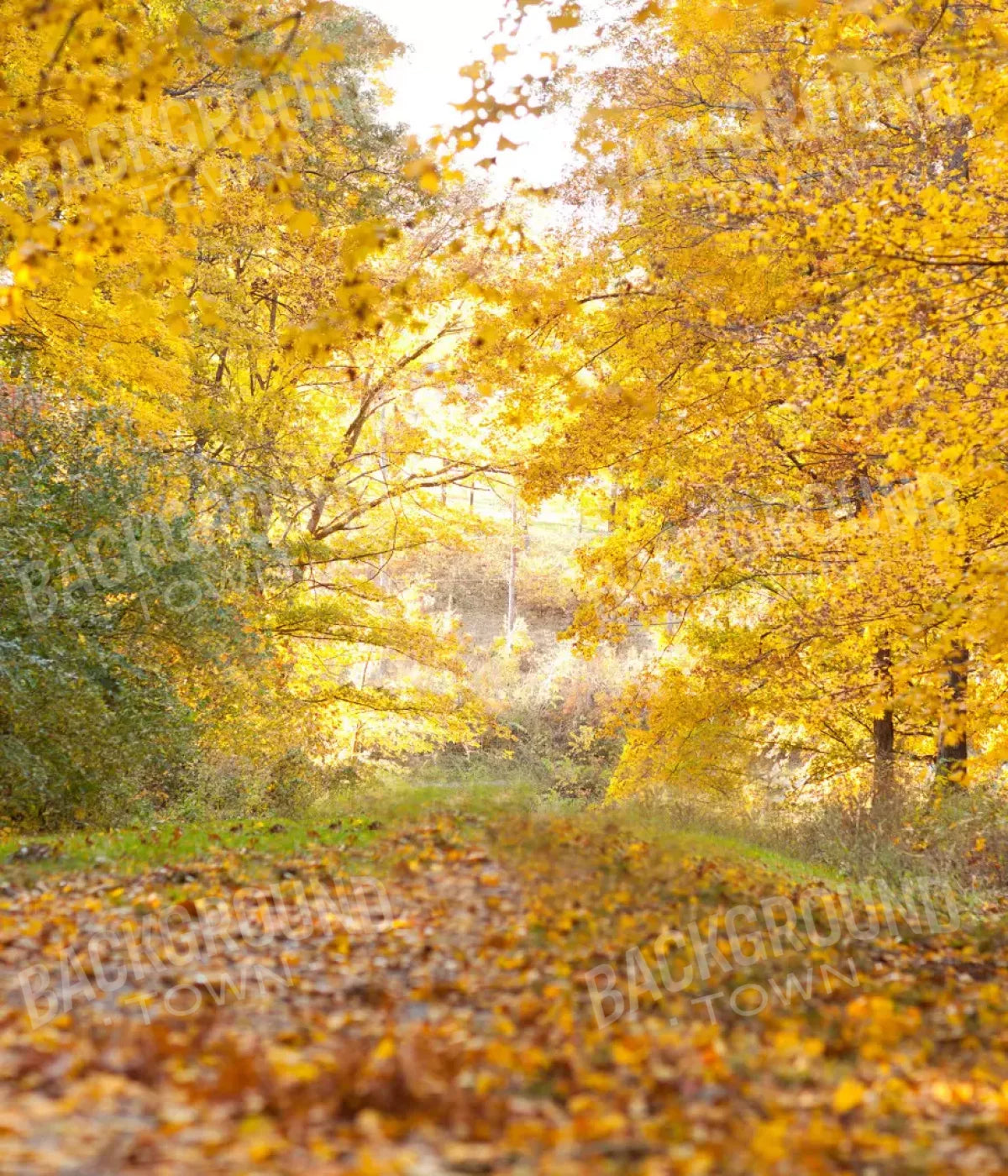 Fall In Missouri 1 10X12 Ultracloth ( 120 X 144 Inch ) Backdrop