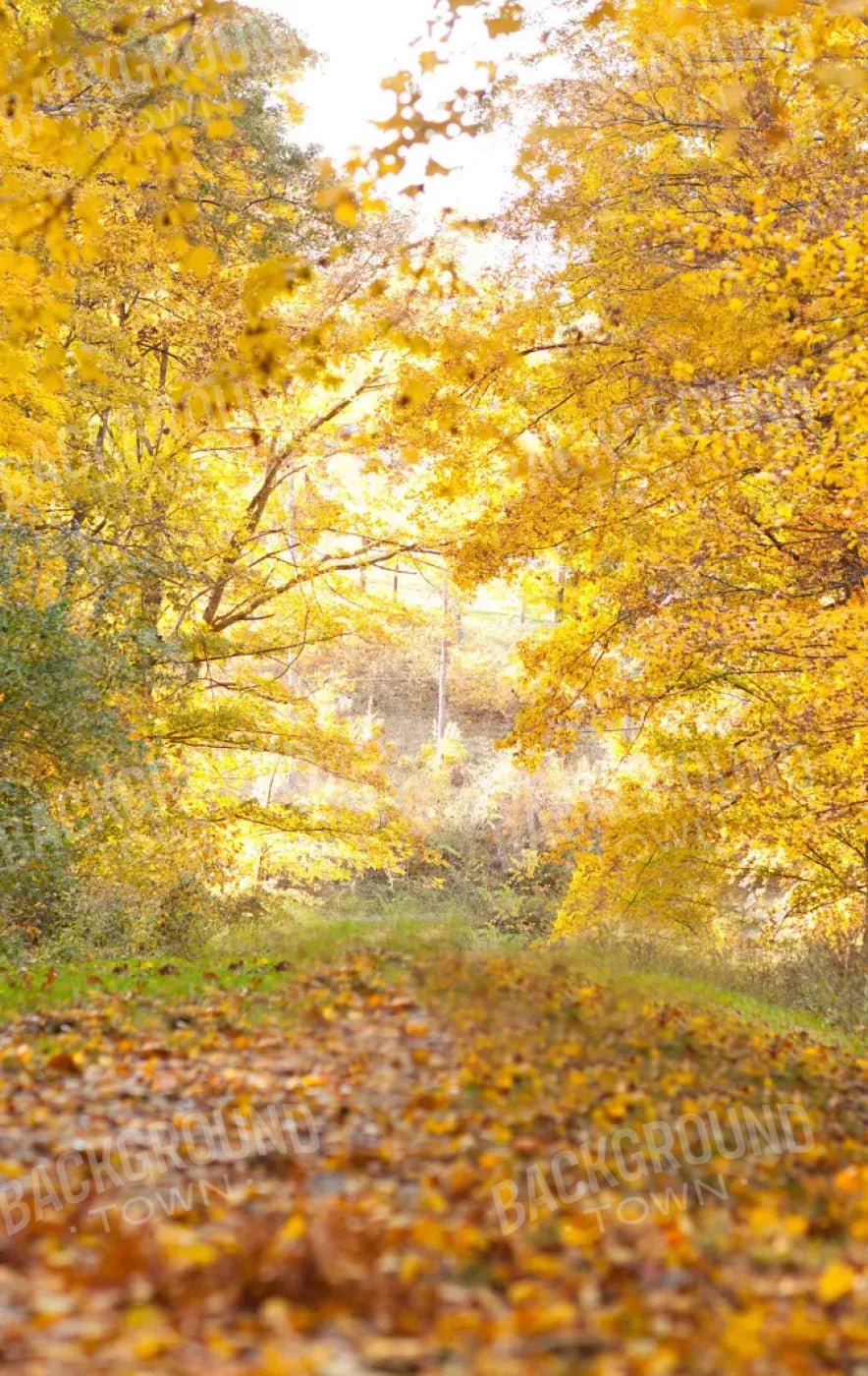 Fall In Missouri 1 10X16 Ultracloth ( 120 X 192 Inch ) Backdrop