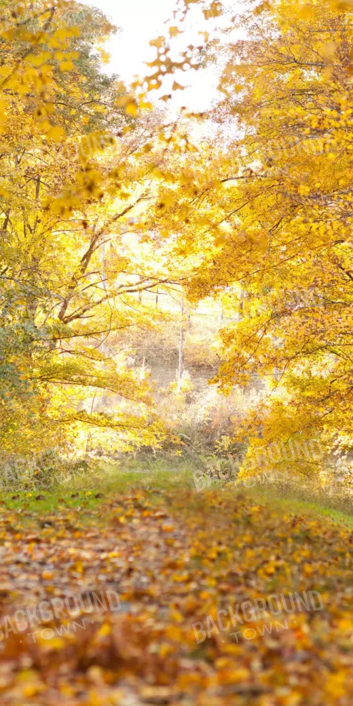 Fall In Missouri 1 10X20 Ultracloth ( 120 X 240 Inch ) Backdrop