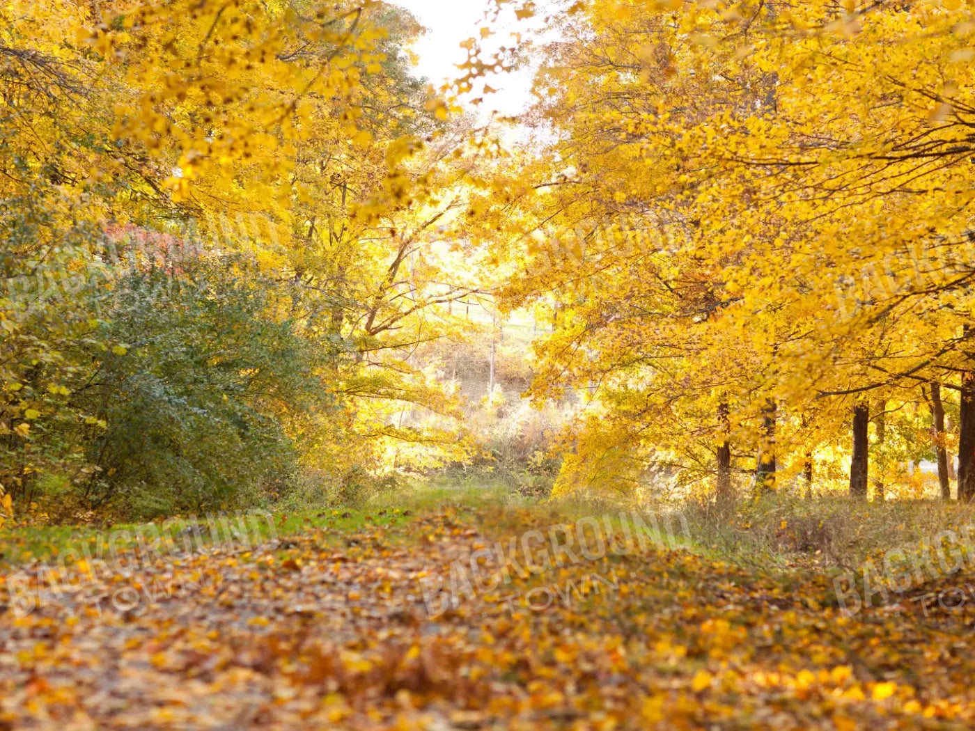 Fall In Missouri 1 10X8 Fleece ( 120 X 96 Inch ) Backdrop