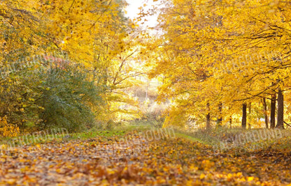 Fall In Missouri 1 12X8 Ultracloth ( 144 X 96 Inch ) Backdrop