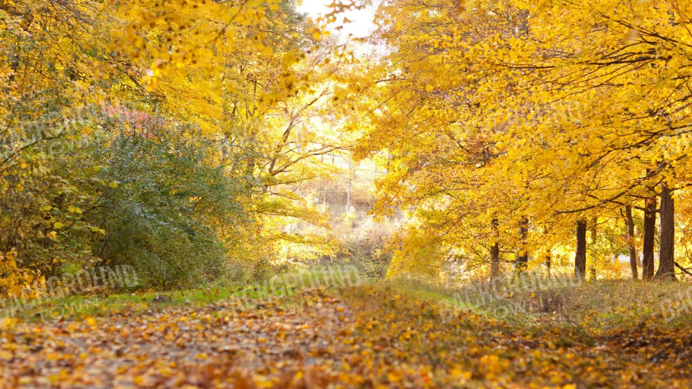 Fall In Missouri 1 14X8 Ultracloth ( 168 X 96 Inch ) Backdrop