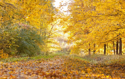 Fall In Missouri 1 16X10 Ultracloth ( 192 X 120 Inch ) Backdrop