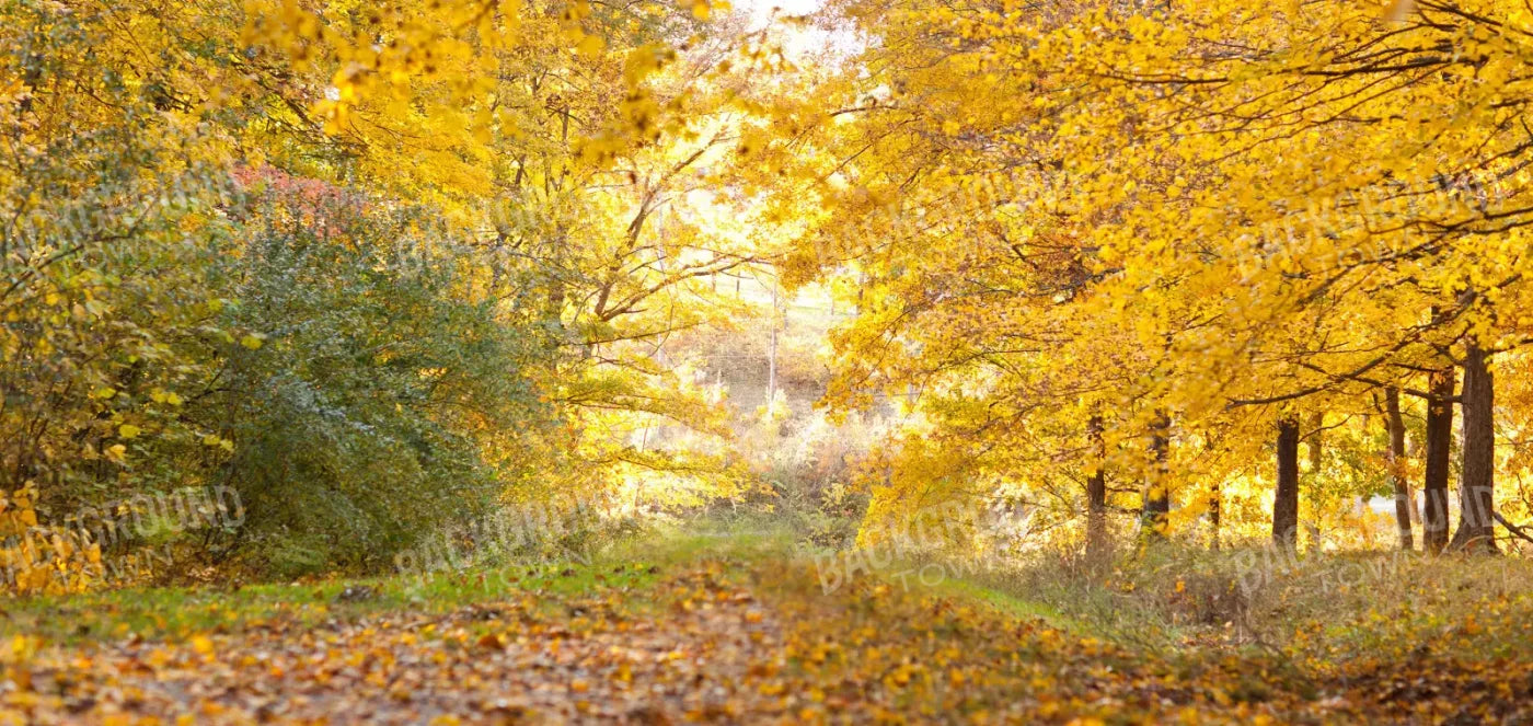 Fall In Missouri 1 16X8 Ultracloth ( 192 X 96 Inch ) Backdrop