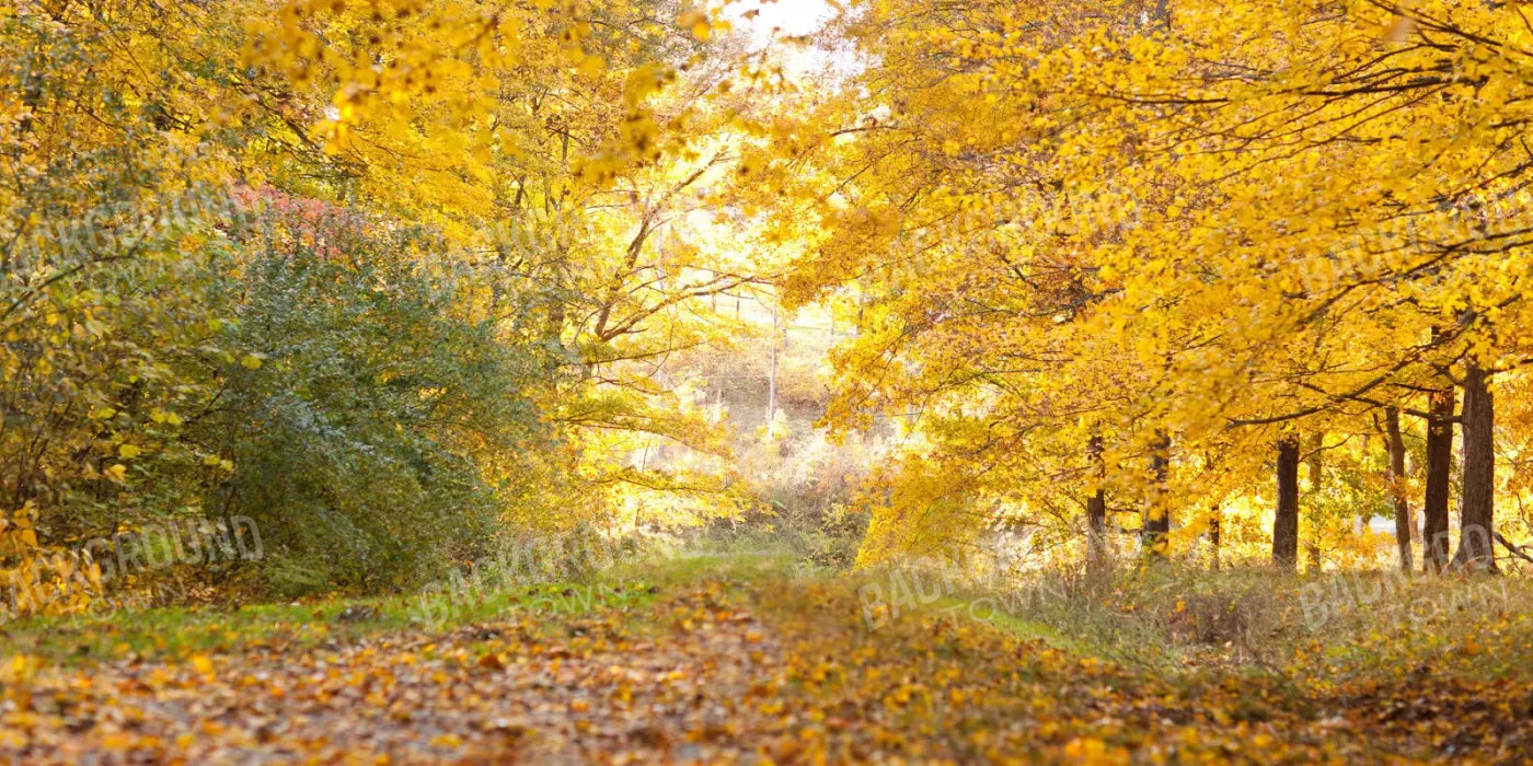 Fall In Missouri 1 20X10 Ultracloth ( 240 X 120 Inch ) Backdrop