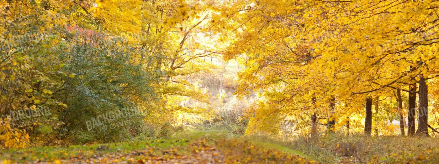 Fall In Missouri 1 20X8 Ultracloth ( 240 X 96 Inch ) Backdrop