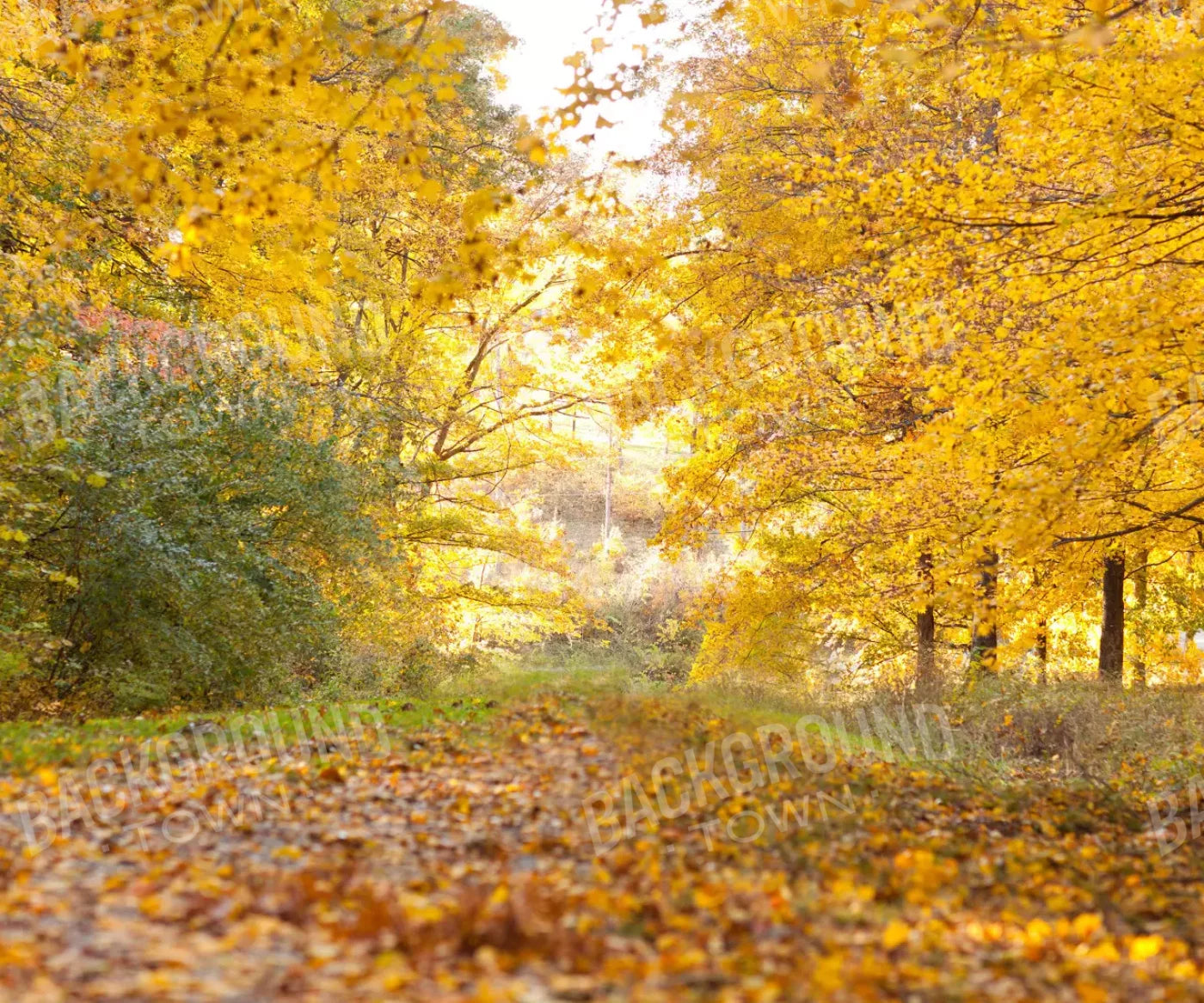 Fall In Missouri 1 5X42 Fleece ( 60 X 50 Inch ) Backdrop