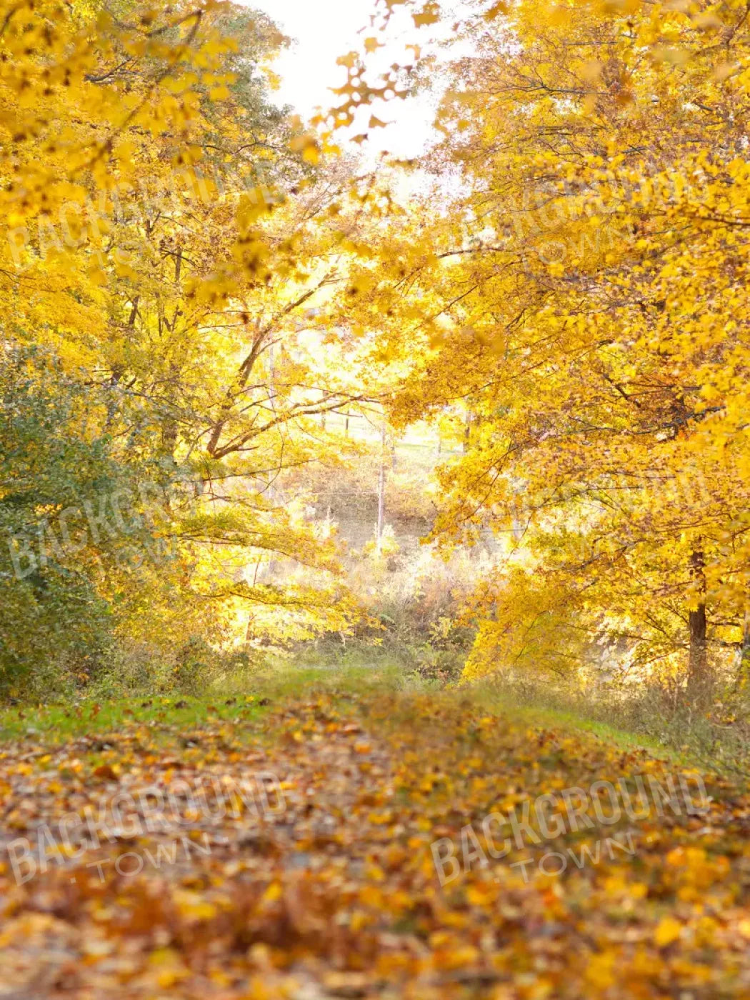 Fall In Missouri 1 5X68 Fleece ( 60 X 80 Inch ) Backdrop