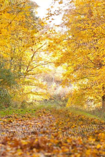 Fall In Missouri 1 5X8 Ultracloth ( 60 X 96 Inch ) Backdrop