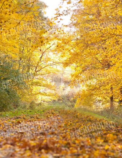 Fall In Missouri 1 6X8 Fleece ( 72 X 96 Inch ) Backdrop