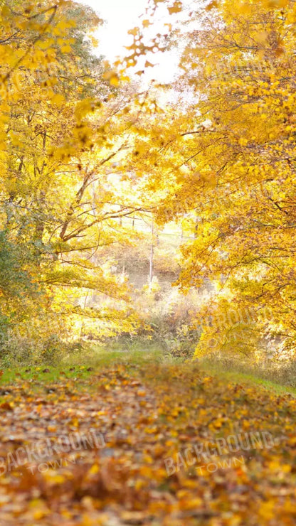 Fall In Missouri 1 8X14 Ultracloth ( 96 X 168 Inch ) Backdrop