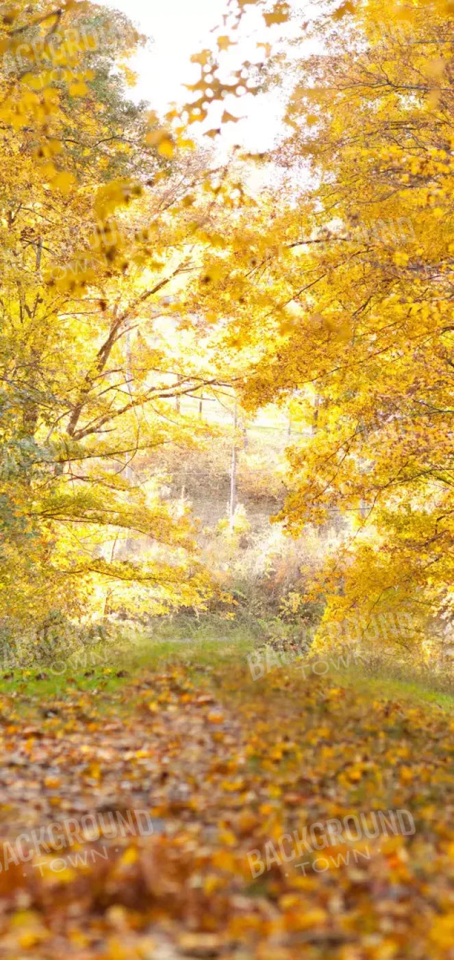 Fall In Missouri 1 8X16 Ultracloth ( 96 X 192 Inch ) Backdrop