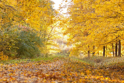 Fall In Missouri 1 8X5 Ultracloth ( 96 X 60 Inch ) Backdrop