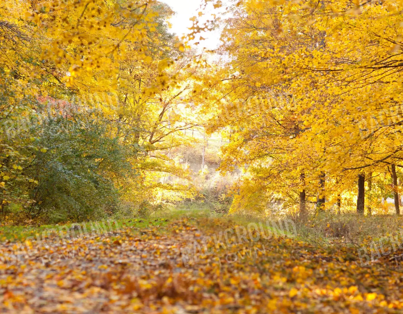 Fall In Missouri 1 8X6 Fleece ( 96 X 72 Inch ) Backdrop