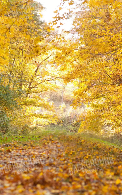 Fall In Missouri 1 9X14 Ultracloth ( 108 X 168 Inch ) Backdrop