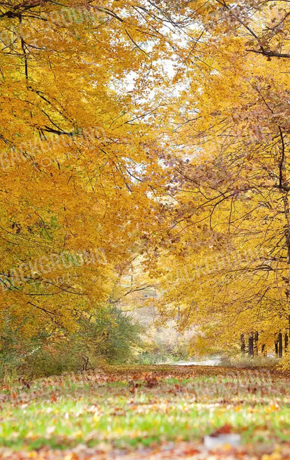 Fall In Missouri 2 10X16 Ultracloth ( 120 X 192 Inch ) Backdrop