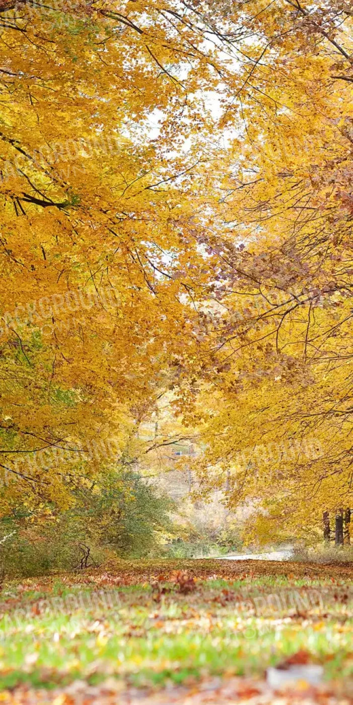 Fall In Missouri 2 10X20 Ultracloth ( 120 X 240 Inch ) Backdrop