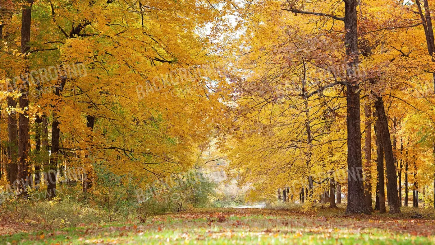 Fall In Missouri 2 14X8 Ultracloth ( 168 X 96 Inch ) Backdrop