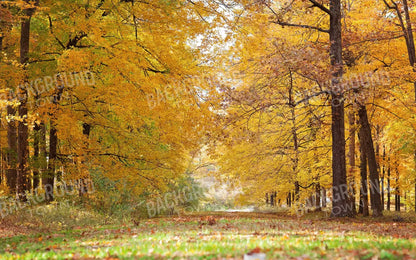 Fall In Missouri 2 14X9 Ultracloth ( 168 X 108 Inch ) Backdrop