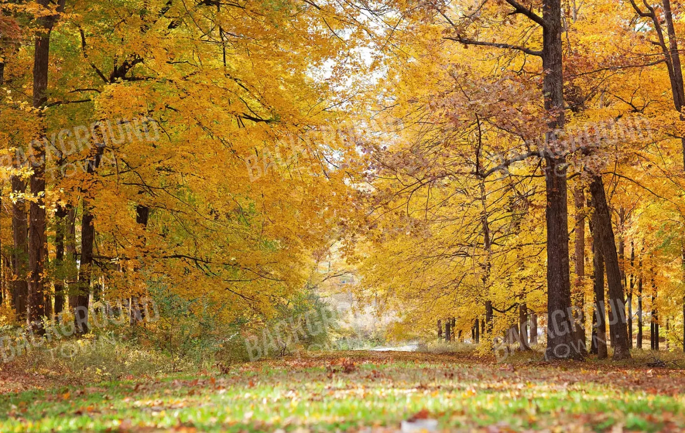 Fall In Missouri 2 16X10 Ultracloth ( 192 X 120 Inch ) Backdrop