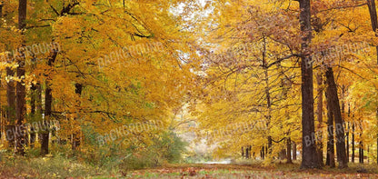 Fall In Missouri 2 16X8 Ultracloth ( 192 X 96 Inch ) Backdrop